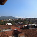PA230746